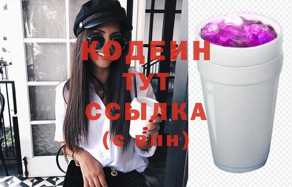 индика Гусиноозёрск